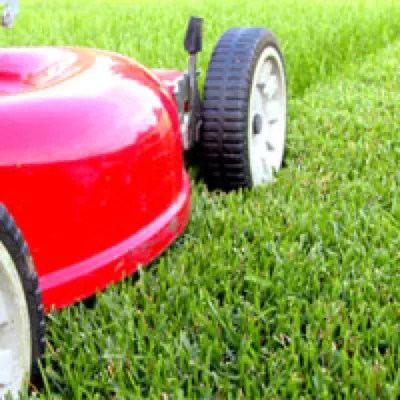 J & B Landscaping Inc