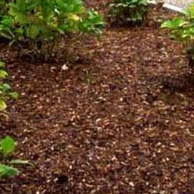 J & B Landscaping Inc
