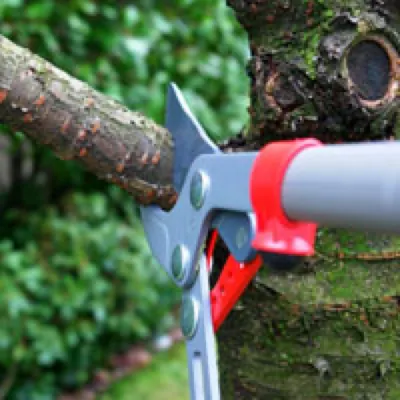 J & B Landscaping Inc