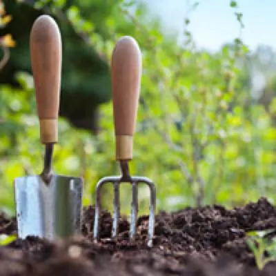 Gardening