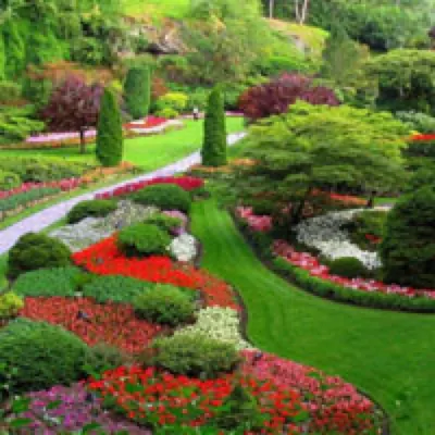 Landscaping Design